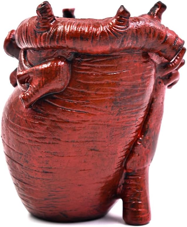 Small Human Heart Organ Shape Pen Holder Home Office Desk Storage Resin Decor, Makeup Brush Holder, 4.1" x 3.5", Red