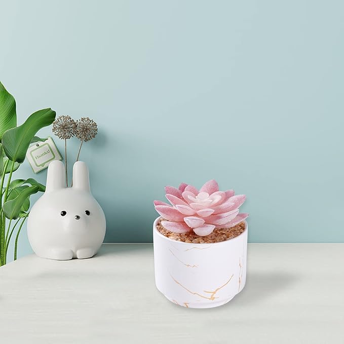ZENIDA Succulent Artificial Plants,Cute Fake Succulents in 1 White Ceramic Pots,Small Fake Plants for Office,Table,Desk,Bathroom, Bedroom,Aesthetic Room Shelves Decor,Desk Decorations for Women Office