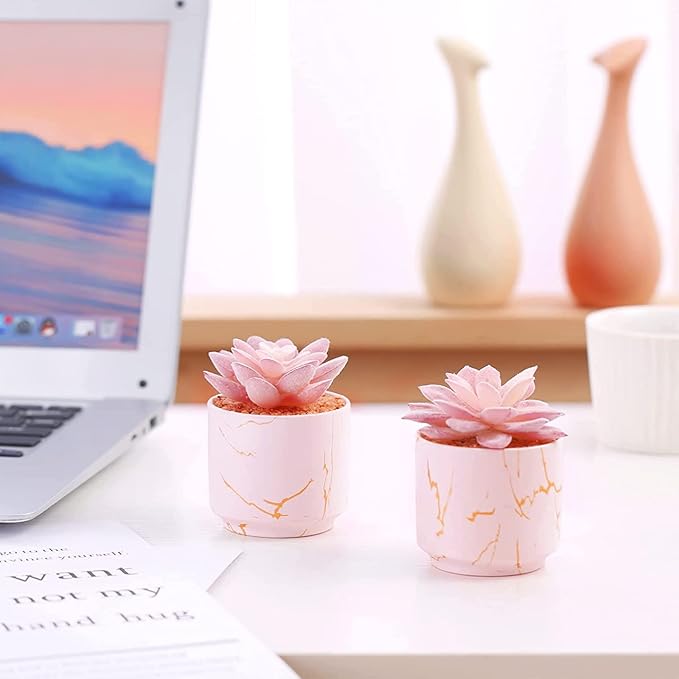 ZENIDA Succulent Artificial Plants,Cute Fake Succulents in 2 Pink Ceramic Pots,Small Fake Plants for Office,Table,Desk,Bathroom, Bedroom,Aesthetic Room Shelves Decor,Desk Decorations for Women Office