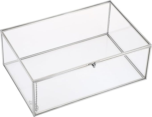 Hipiwe Vintage Silver Rectangle Jewelry Display Organizer Box with Lid, X-Large, USSN202312DUH