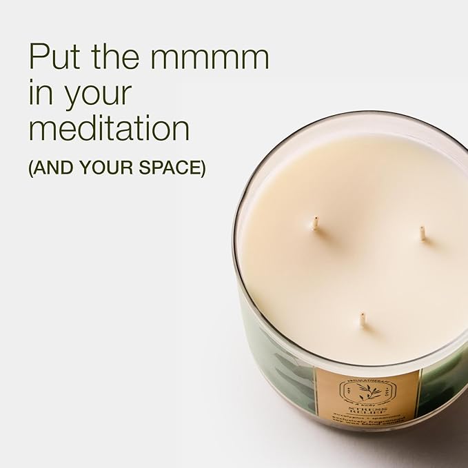 Bath & Body Works Eucalyptus Spearmint 3-Wick Candle - Scented Candle for At-Home Use - Long-Lasting, Room-Filling Fragrance - High Fragrance Oil Concentration - Soy Wax Blend - 2-Pack