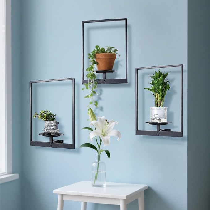 Plant Wall Shelf, Metal Modern Style Frame, Picture Wall Plant Holder, Plant Frames for Living Space Decor Display Stand for Living Room Balcony Garden Patio (3 PACK(BLACK ))
