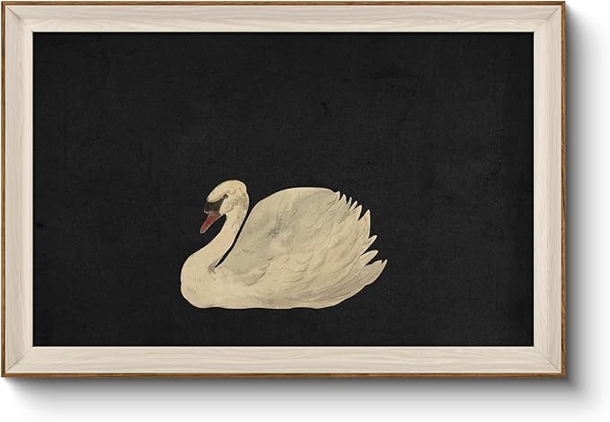 VIYYIEA Framed Wall Art for Living Room, Swan Art Canvas Prints, Vintage Home Decor, Animals Painting Picture, Bathroom Wall Decor Gifts for Friends or Family - 36L x 24W