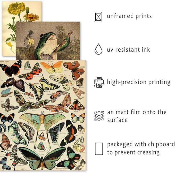 ANERZA 16 PCS Vintage Wall Art Decor, Botanical Cottagecore Wall Collage Kit for Bedroom, Farmhouse Posters for Room Aesthetic, Wall Prints Pictures for Living Room, Rustic Dorm Gallery Home Decor