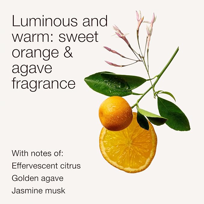 Bath & Body Works 3-Wick Candle, Sweet Orange & Agave Citrus Candle, Strong Throw, Long-Lasting Burn Up to 45 Hours, Exclusively Fragranced Soy Wax Blend, 14.5 oz - 1 Pack