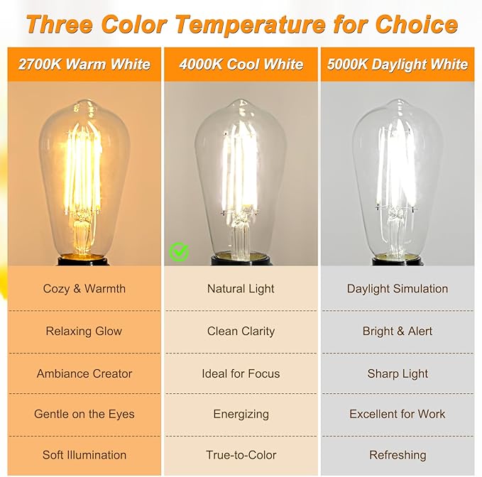 Ascher 12 Pack Vintage LED Edison Light Bulb 60W Equivalent, Decorative Antique Filament Light Bulbs with 80+ CRI, Cool White 4000K, 700 Lumens, E26 Base, Non-Dimmable