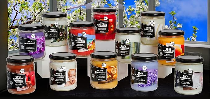 Peppermint Two Pack Odor Eliminating Highly Fragranced Candle - Eliminates 95% of Pet, Smoke, Food, and Other Smells Quickly - Up to 80 Hour Burn time - 12 Ounce Premium Soy Blend