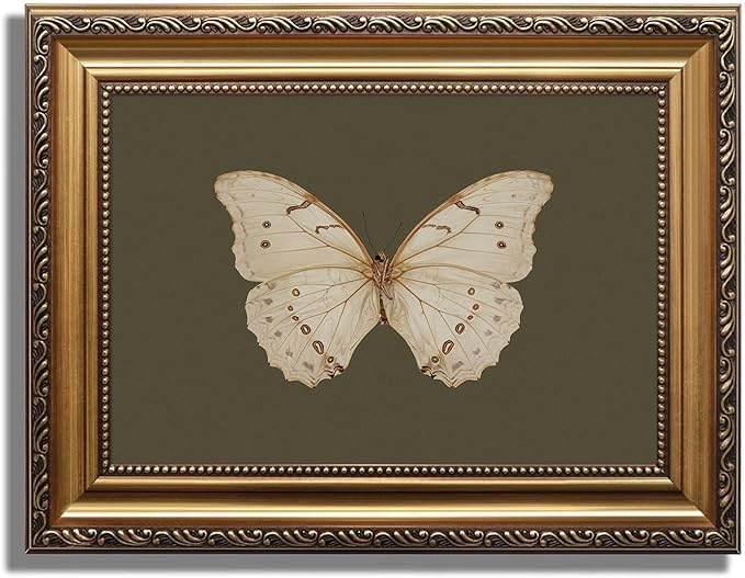 KBKBART Vintage Gold Framed Wall Art, Classical Butterfly Oil Paintings, Dark Moody Insect Canvas Prints Artwork Wall Decor Pictures for Bedroom, Bathroom, Cottagecore Room Decor - 12x16Inch