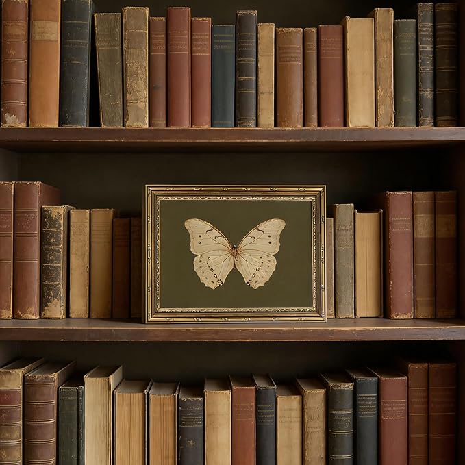 Vintage Gold Framed Wall Art Classical White Butterfly Wall Art Small Moody Insect Green Wall Decor Picture Antique Cottagecore Moth Gallery Aesthetic Poster Print for Living Room Bedroom 9x11in
