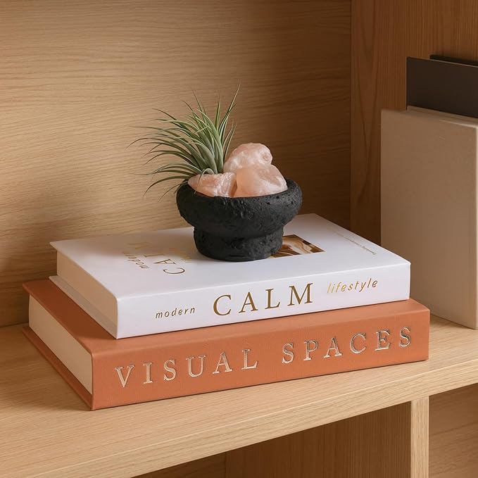 Minimalist Decorative Books for Home Decor - Set of 2 Aesthetic Faux/Fake Book Boxes Enhance Coffee Table, Mantel or Bookshelf Decor, Beautiful Photo Storage & Keepsake Box