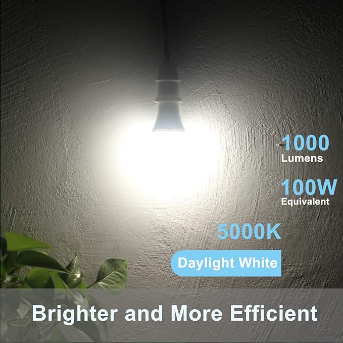 Qualilux Dusk to Dawn Light Bulbs, Auto On/Off Light Sensing LED Bulbs Outdoor, Daylight, A19 4-Pack, 12W 1000LM 75W Equivalent, HQ-H024