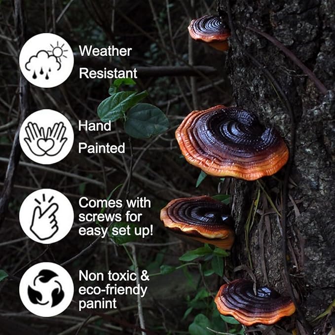 Set of 5 Mushroom Wall Shelves - Small Floating Shelves for Home Decor, Kitchen, Bedroom | Cute Resin Mushroom Shelf, Cottagecore & Reptile Gecko Habitat Accessory
