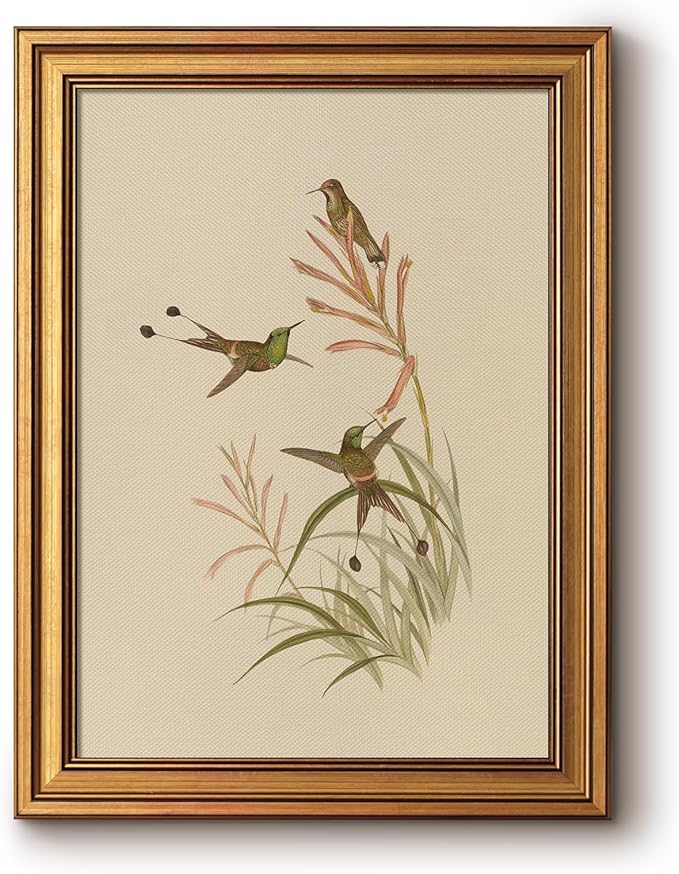Bzstyleart Vintage Wall Art Decor for Living Room, Framed Wall Art Decor, Animals Hummingbird Picture, Home Decor Aesthetic Gifts for Friends or Family - Hummingbird Perched Canvas Prints, 16L x 12W