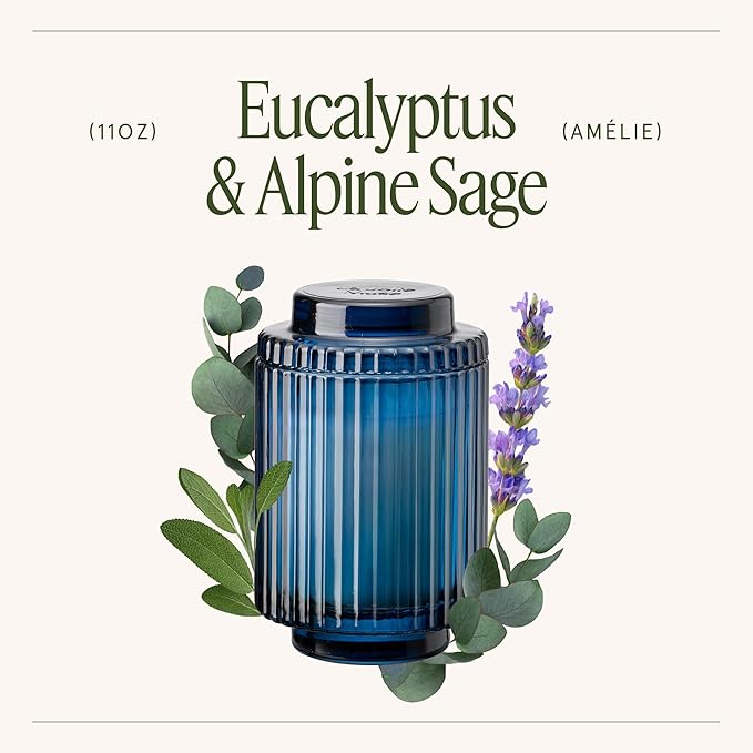 LA JOLIE MUSE Eucalyptus & Alpine Sage | Eucalyptus, Lavender & Sage Candle for Home Cleansing| 11 oz Natural Soy Wax Candle | 60 Hours Clean Burn