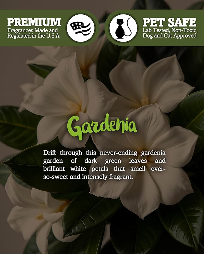 Pure Gardenia Premium Tealight Candles - Highly Scented with Essential & Natural Oils - 6 White Tea Lights - Beautiful Candlelight - Made in the USA - Flower & Floral Collection