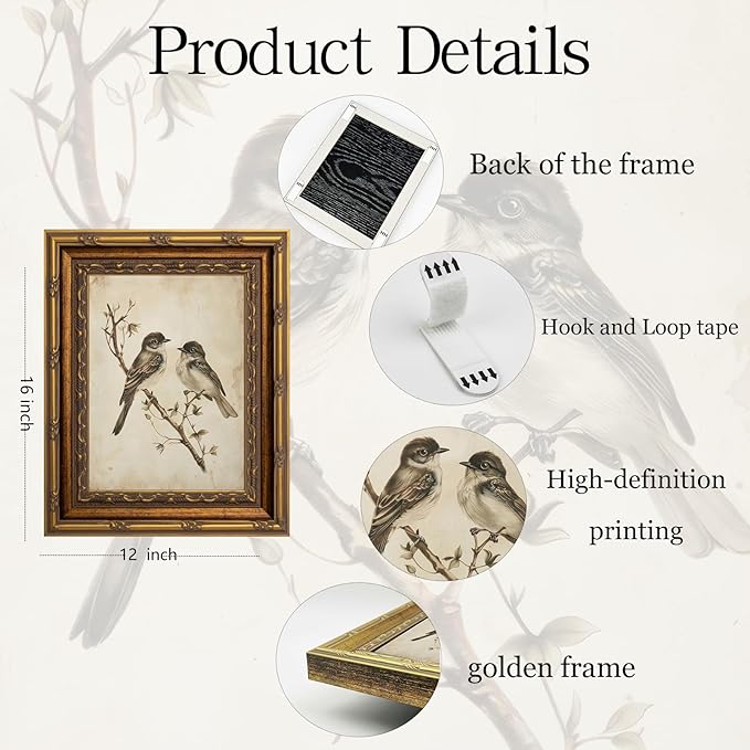 Vintage Gold Framed Wall Art Neutral Summer Bird Wall Art Vintage Botanical Birds Nature Wall Decor Picture Rustic Cottage Gallery Poster Print for Living Room Bedroom 12x16in