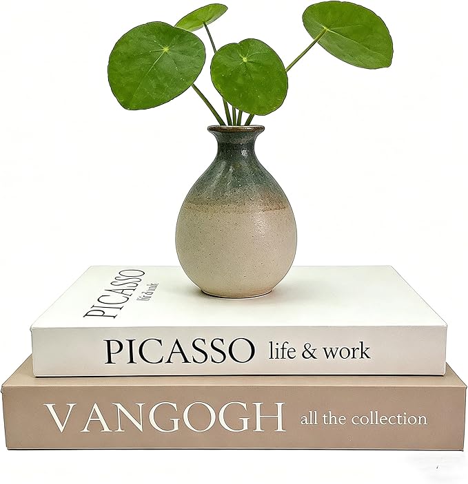 Set of 2 Decorative Books - Linen Faux Fake Books for Decor Aesthetic, Decorative Book for Coffee Table,Bookshelf,Office Table, Home Decor, Fake Book Storage Box for Trinkets Photo-BB002-2PCS