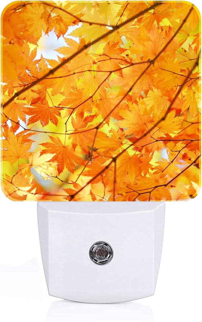 Autumn Maple Leaves Night Light ,Plug Into Wall with Dusk To Dawn Light Sensors, Warm Nightlights for Bedroom, Bathroom, Hallway, Kitchen, Gifts Ideal for Boys Girls Women Men