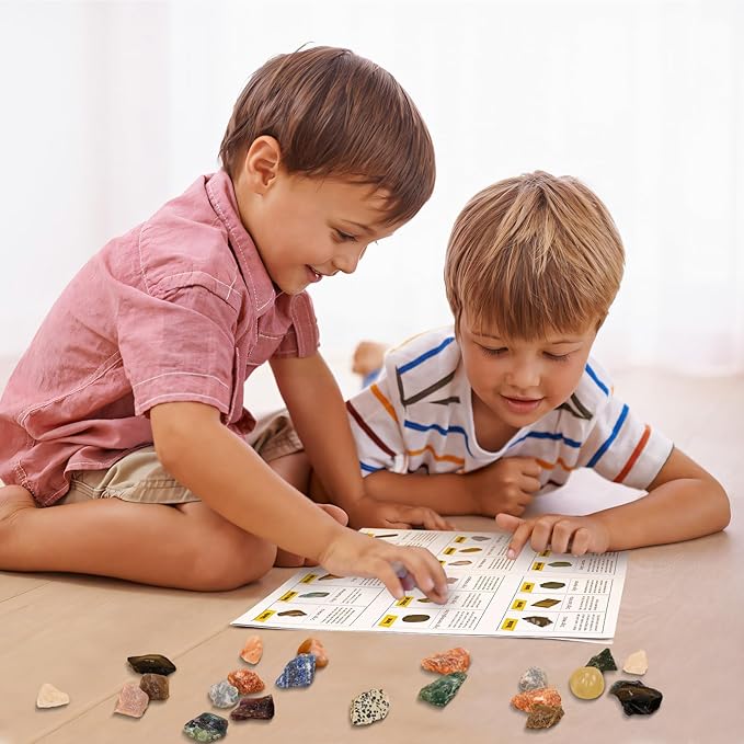 Rock Collection Box for Kids - Display Case for Collectibles - Storage and Display Shelf - Generation 2