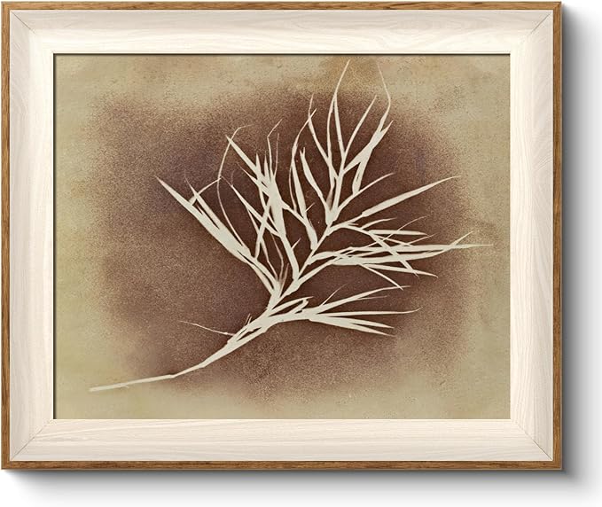 VIYYIEA Framed Wall Art for Living Room, Herbarium Canvas Prints, Vintage Home Decor, Flowers Painting Picture, Bathroom Wall Decor Gifts for Friends or Family -【Herbarium】-(12L x 10W)