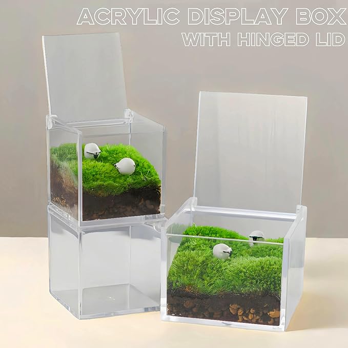 KissYou Acrylic Box Clear Boxes with Hinged Lid Transparent Display Square Cube Storage Organizer Containers for Birthday Wedding Graduation Party Decoration