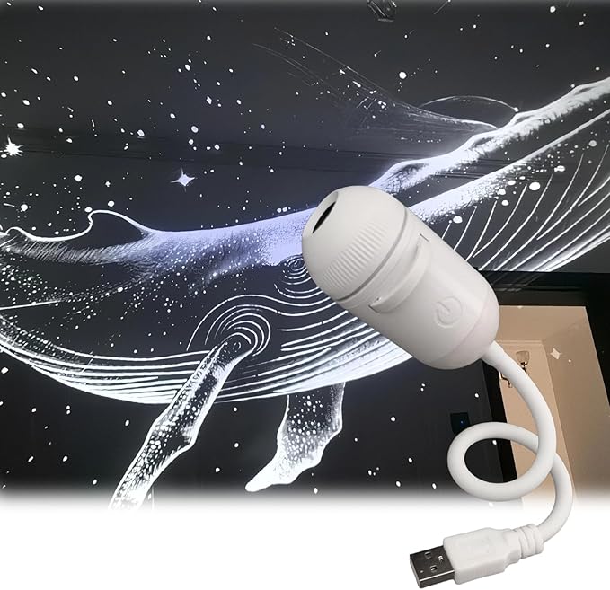Galaxy Projector Night Light, 2-in-1 Starry Sky Projector with Adjustable Brightness, 360° Rotating USB Mini Night Light for Kids Bedroom Room Decor(3 Films)