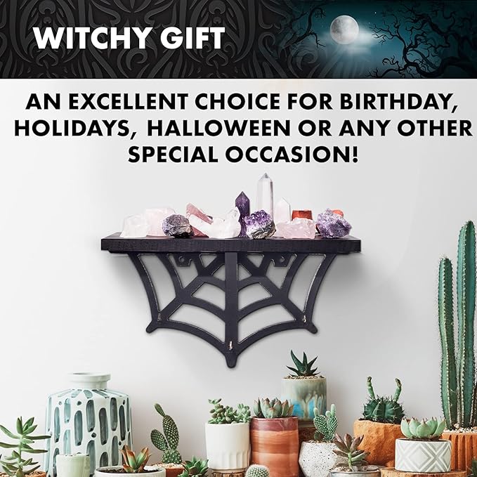 Spider Web Floating Shelf - Gothic Halloween Hanging Shelf with Hooks for Wall Oddities and Curiosities - Black Spooky Goth Wall Decor for Kitchen and Home - Crystal Display Shelf for Stones