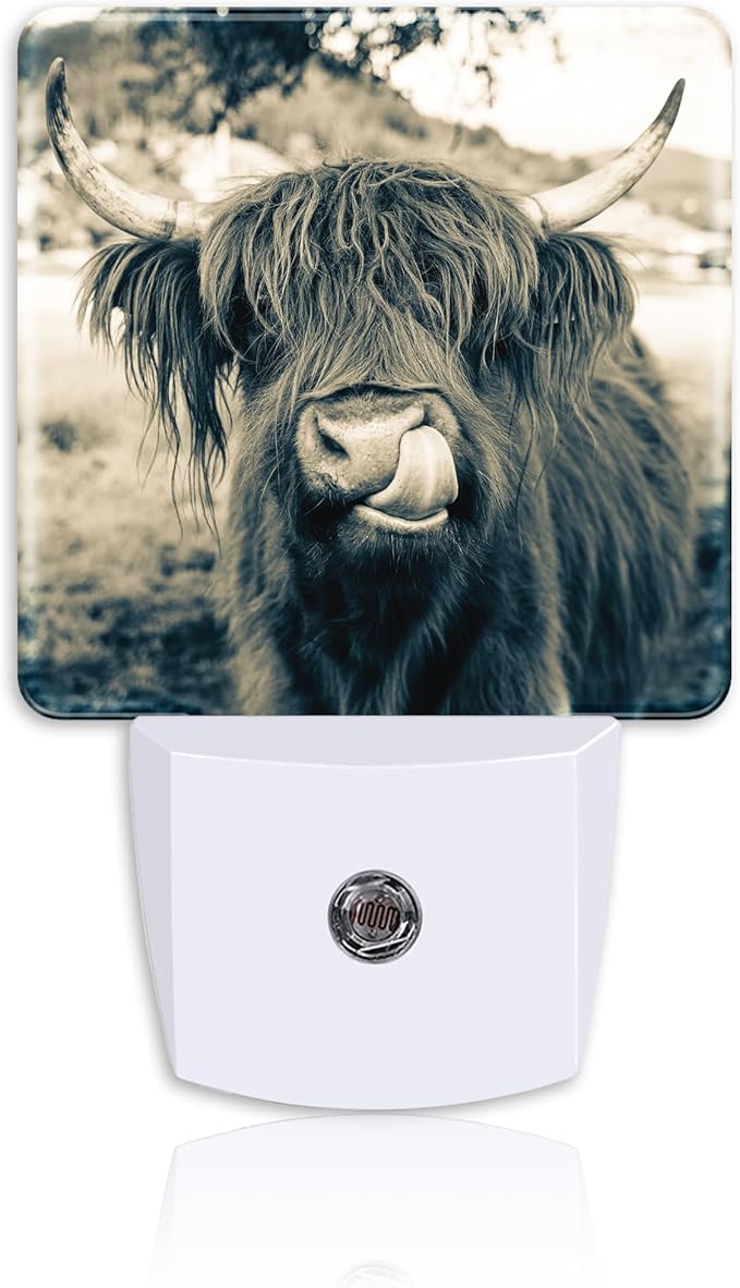 Night Light for Kids Girls Boys,Funny Dark Highland Cow LED Night Light Plug into Wall with Dusk to Dawn Sensor for Room Decor,Hallway,Kitchen,Bathroom,Nursery,Stairs