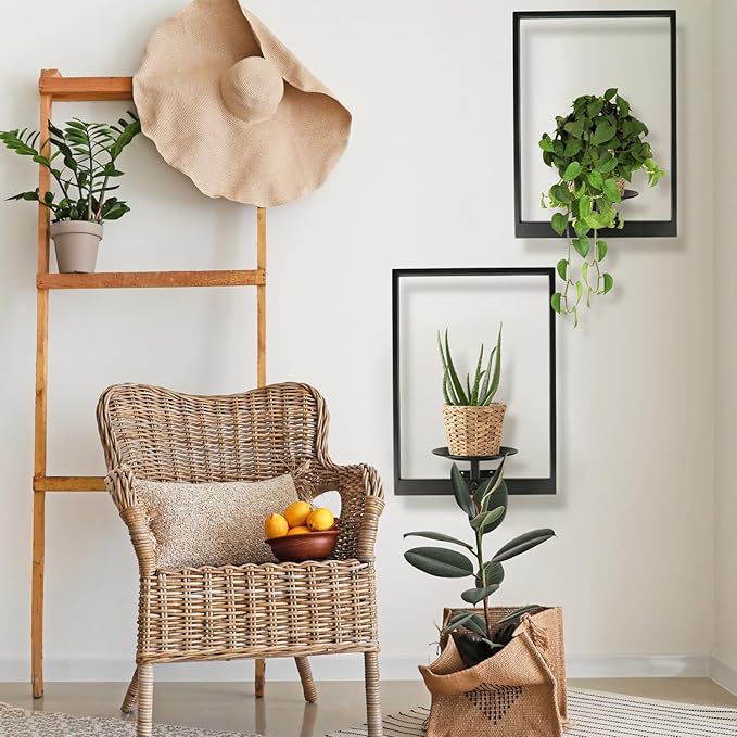 Plant Wall Shelf, Metal Modern Style Frame, Picture Wall Plant Holder, Plant Frames for Living Space Decor Display Stand for Living Room Balcony Garden Patio (2 PACK(BLACK))