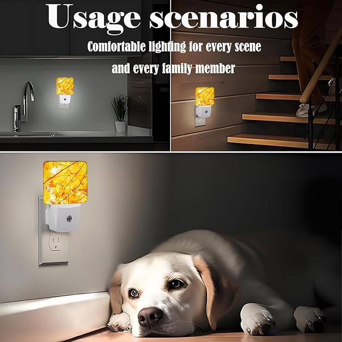 Autumn Maple Leaves Night Light ,Plug Into Wall with Dusk To Dawn Light Sensors, Warm Nightlights for Bedroom, Bathroom, Hallway, Kitchen, Gifts Ideal for Boys Girls Women Men