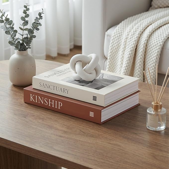 Decorative Book Boxes for Coffee Table Decor (Set of 2) - Faux Books with Hidden Storage - Modern Warm Luxury & Neutral Home Accents - Sanctuary & Kinship (Chocolate Brown & Beige)