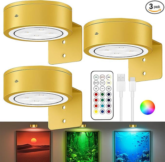 3-Pack Picture Lights for Wall, 13 RGB Color Changing Led Art Display Light with Rechargeable Battery Operated, Magnetic Painting Light with Remote Control, Wireless Home Wall Decorative Lighting