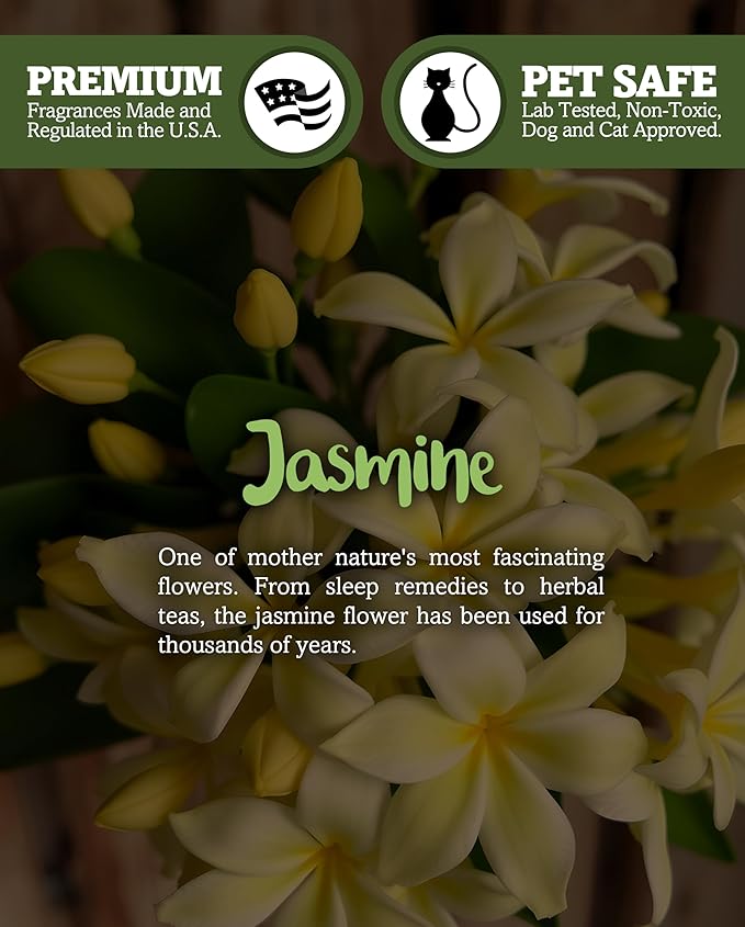 Shortie's Candle Company Pure Jasmine Premium Tealight Candles - Highly Scented with Natural Oils - 6 Yellow Tea Lights - Beautiful Candlelight - Made in the USA - Flower & Floral Collection