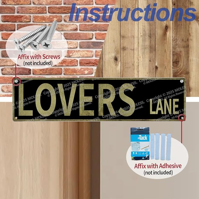 “Lovers Lane" Y2K Room Wall Decor Aesthetic –16x4″ Vintage Street Signs for Bedroom | Sassy Posters Decorations for Downtown Girl Room Girly Bedroom Teen College Dorm, 2368