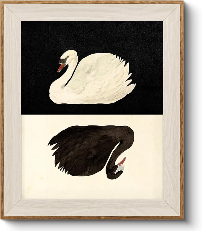 VIYYIEA Framed Wall Art for Living Room, Swan Canvas Prints, Vintage Home Decor, Animals Painting Picture, Bathroom Wall Decor Gifts for Friends or Family - 12L x 10W