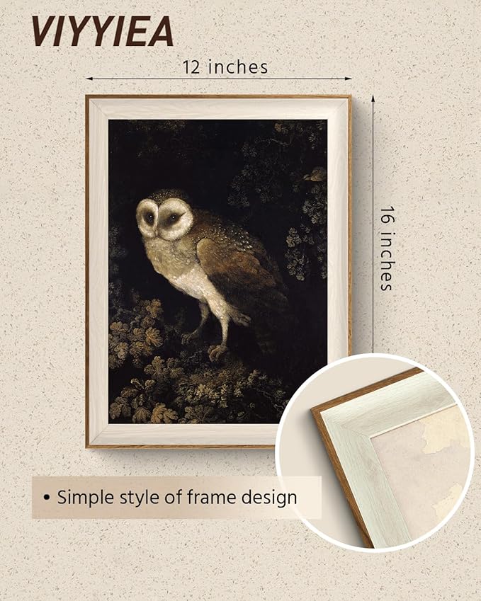VIYYIEA Framed Wall Art for Living Room, Owl Canvas Prints, Vintage Home Decor, Animals Painting Picture, Bathroom Wall Decor Gifts for Friends or Family - 16L x 12W