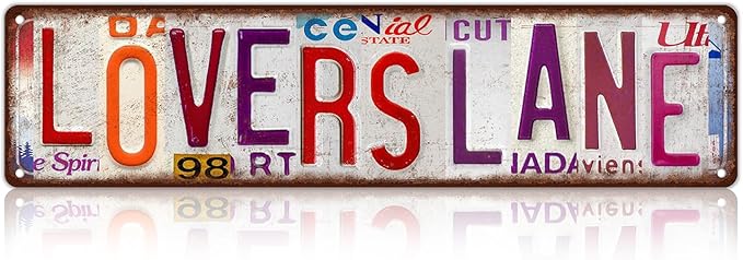 Vintage Lovers Lane Wall Decor Street Signs Pink Room Metal Tin Signs Gife for Women Girl 16 x 4 Inches