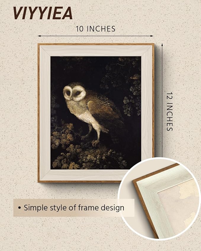 VIYYIEA Framed Wall Art for Living Room, Owl Canvas Prints, Vintage Home Decor, Animals Painting Picture, Bathroom Wall Decor Gifts for Friends or Family - 12L x 10W