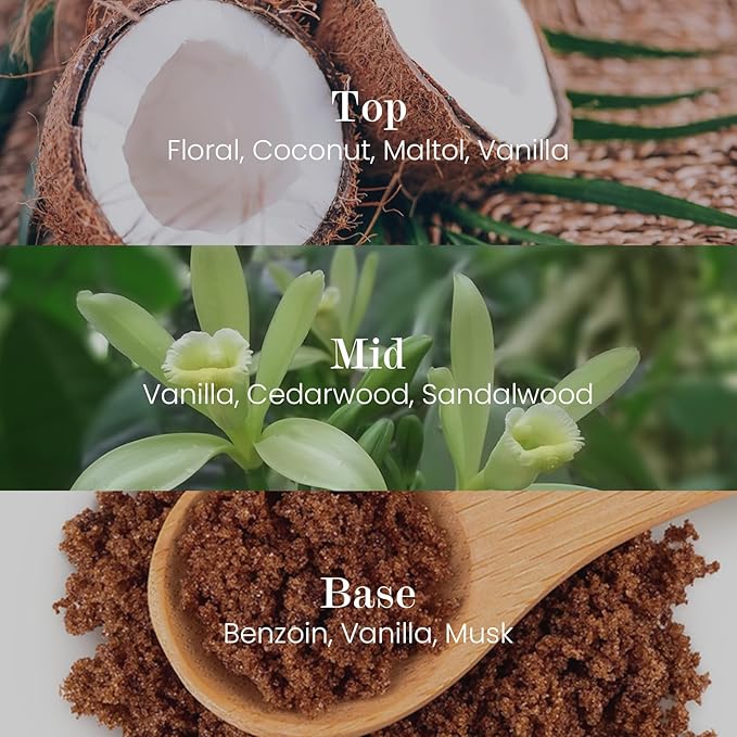 M&SENSE Natural Soy Candle| Vanilla Sandalwood | 8.82 oz, 50H Burn | Spring Scented Candles for Relaxation, Valentines Day Gift, Home Décor | for Bedroom, Office, Party Medium