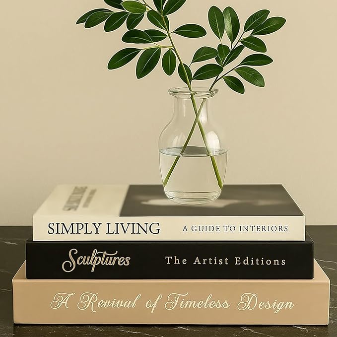 Aesthetic Decorative Books Set of 3 Decorative Coffee Table Books Bookshelf Decor Fake Book Storage Box for Home Décor Accents Photo Storage Keepsake Box