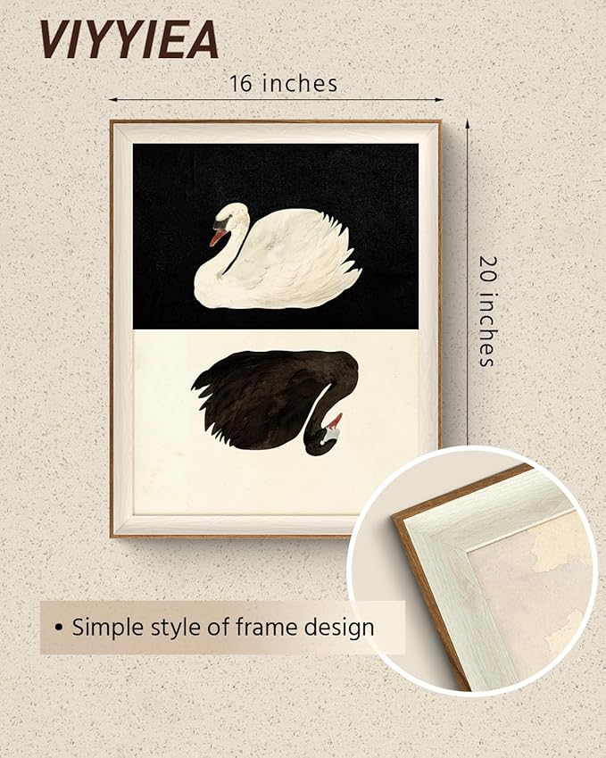 VIYYIEA Framed Wall Art for Living Room, Swan Canvas Prints, Vintage Home Decor, Animals Painting Picture, Bathroom Wall Decor Gifts for Friends or Family - 20L x 16W