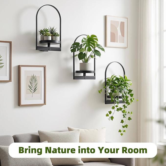 3 Pack Wall Plant Holder for Indoor Plants, Metal Wall Mounted Plant Shelf for Small Pots, Modern Arch Hanging Wall Planter Display with Hooks, Plant Frame Wall Decor for Living Room, Bedroom, Black