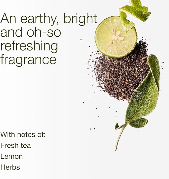 Bath & Body Works White Tea & Sage 3-Wick Candle - Scented Candle for At-Home Use - Long-Lasting, Room-Filling Fragrance - High Fragrance Oil Concentration - Soy Wax Blend - 2-Pack
