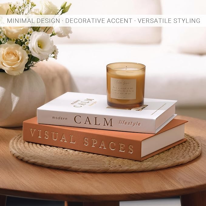 Minimalist Decorative Books for Home Decor - Set of 2 Aesthetic Faux/Fake Book Boxes Enhance Coffee Table, Mantel or Bookshelf Decor, Beautiful Photo Storage & Keepsake Box