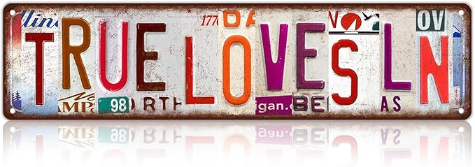 Vintage True Loves Ln Wall Decor Street Signs Pink Room Metal Tin Signs Gife for Women Girl 16 x 4 Inches