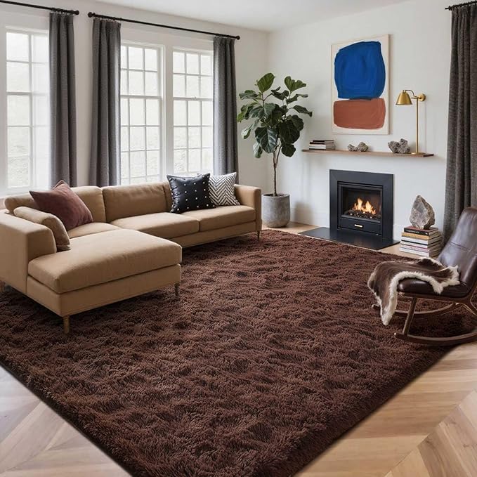 4x6 Ft Brown Shag Rugs for Bedroom Living Room, Ultra Soft Fluffy Furry Area Rug for Indoor Floor, Aesthetic Carpet for Home Decor