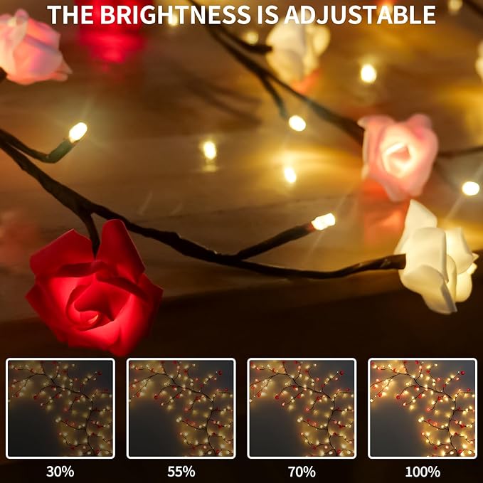 FNHMSL Rose Blossom Enchanted Willow Vine Lights, 7.55FT 144LED 3 Color Rose Blossom Tree Branch Lights for Wall, Remote Timer,8 Light Model,Bedroom Wall Doors Wedding, Christmas, USB Battery Box