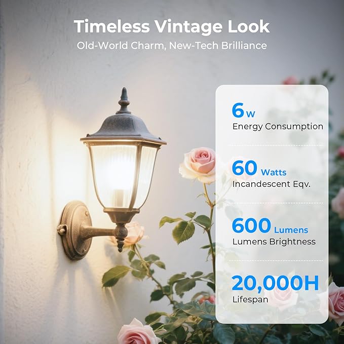 GvvooHome Dimmable LED Edison Bulbs, 4000K Daylight White, 6W Equivalent to 60 watt E26 LED Bulb, ST58 Vintage Light Bulbs, 600LM, 90+ CRI, E26 Base, Clear Glass, 18 Pack