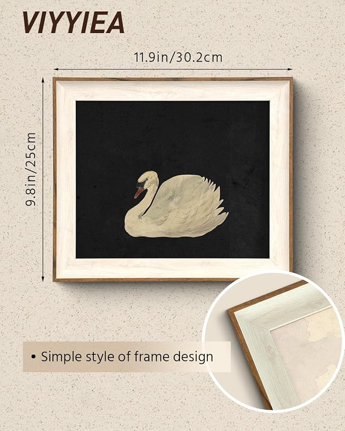 VIYYIEA Framed Wall Art for Living Room, Swan Art Canvas Prints, Vintage Home Decor, Animals Painting Picture, Bathroom Wall Decor Gifts for Friends or Family - 12L x 10W