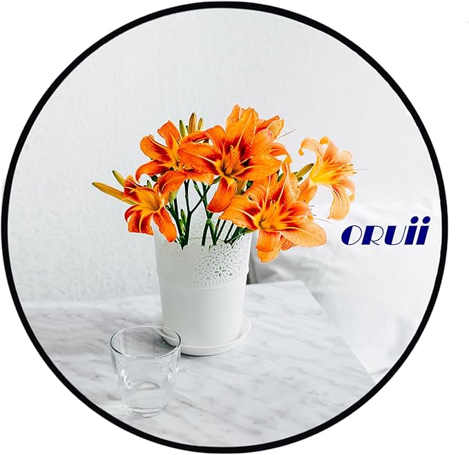 Oruii Round Mirror, Black Round Mirror 18 inch, Circle Wall Mounted Mirrors for Bathroom, Living Room, Bedroom, Vanity, Entryway, Hallway.